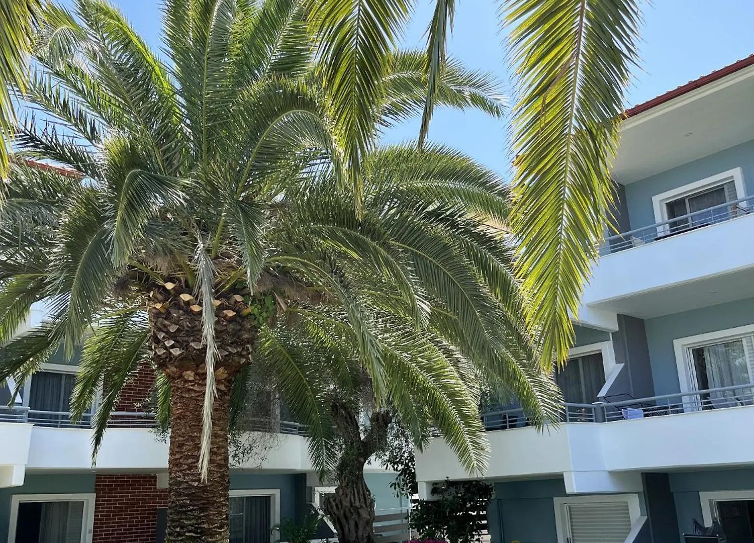 Kapsohora Inn Πευκοχώρι 0*,
